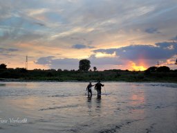 Maaskentj-Marathon 2012